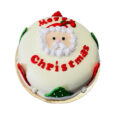Merry Christmas cake