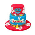 Paw patrol cake