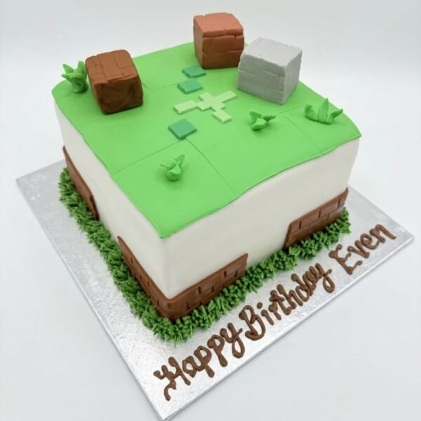 Square Minecraft grass block cake with green tiled top, ivory sides, brown brick panels, stone and wood cubes, grass piping and Happy Birthday Efron message