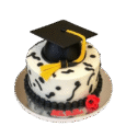 GRADUATION CAKE