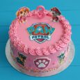 PAW PATROL CAKE