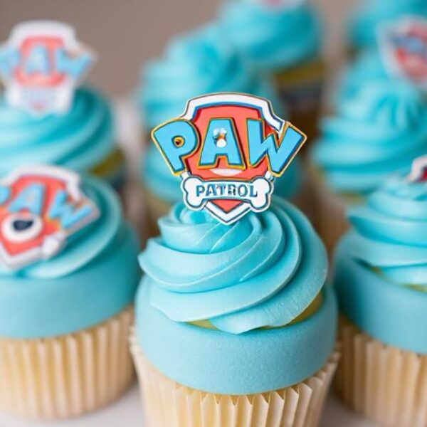 Paw patrol cupcakes