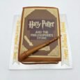 HARRY POTTER CAKE