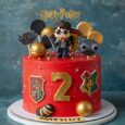HARRY POTTER CAKE