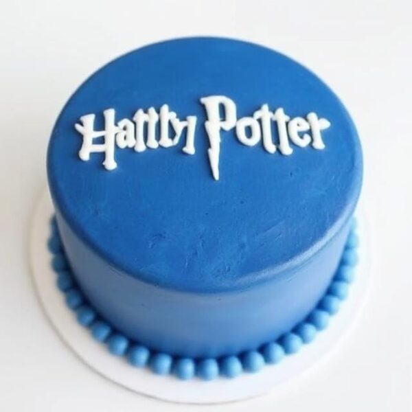 HARRY POTTER CAKE