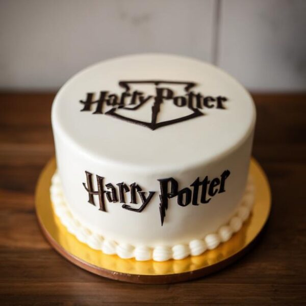 HARRY POTTER CAKE