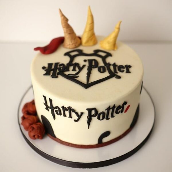 HARRY POTTER CAKE