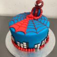 SPIDERMAN CAKE