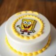 SPONGEBOB SQUAREPANTS CAKE